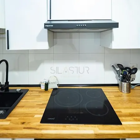 Vive 3 By Silastur Appartement Oviede